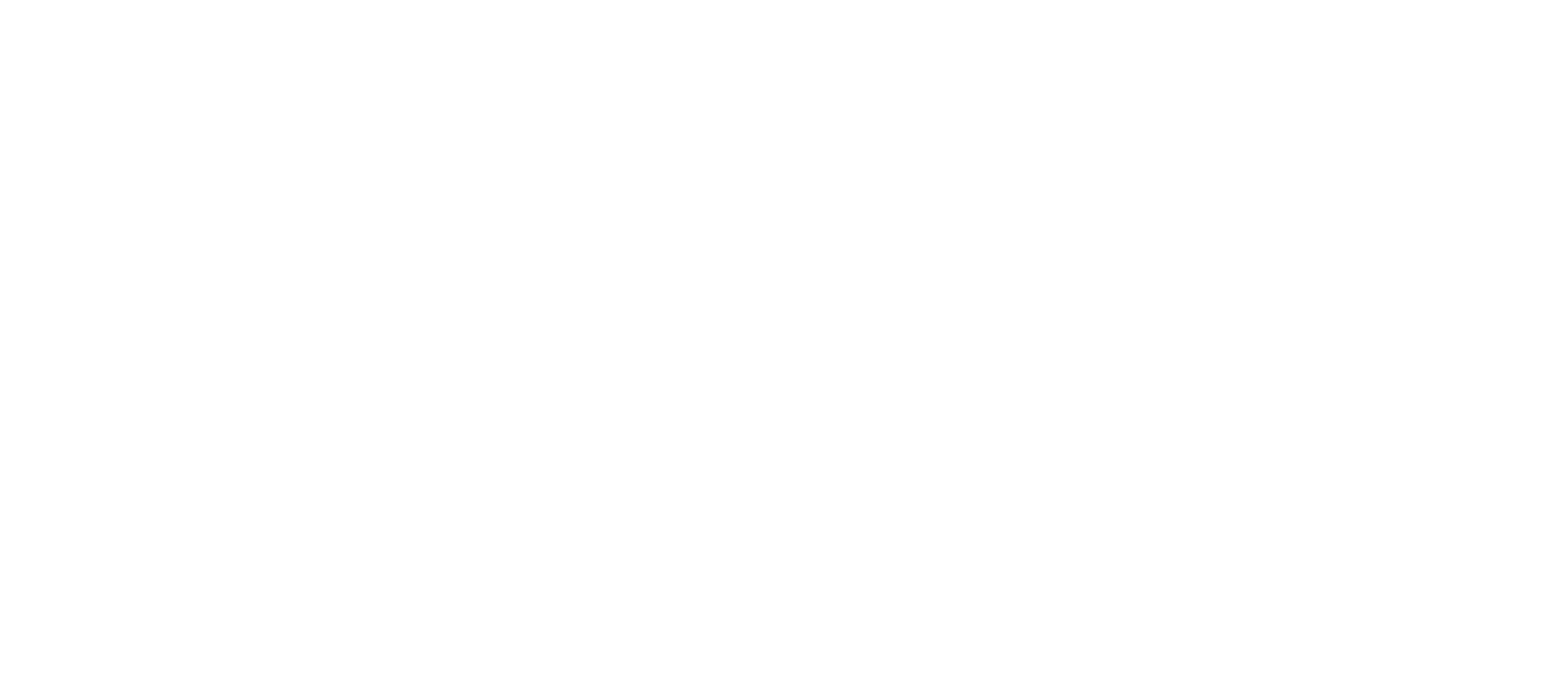 wyuz logo